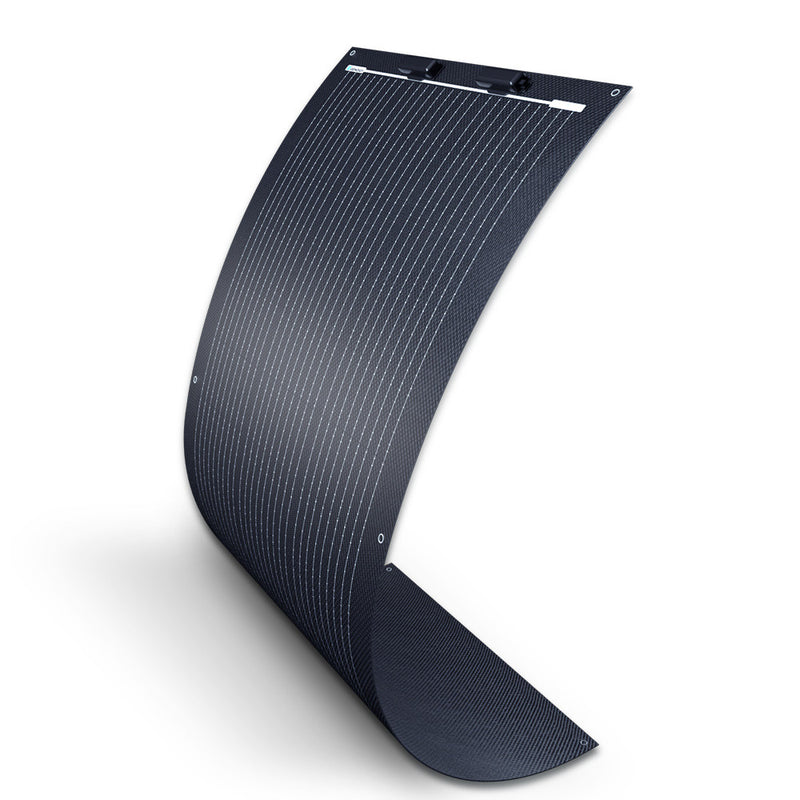 Renogy RSP100DL-36